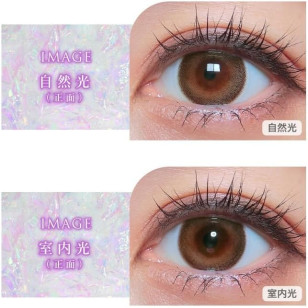 COLOR MAJORITY 1Day Marvelous Ring カラーマジョリティー マーベラスリング